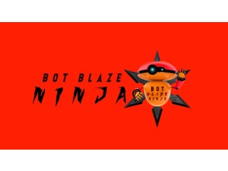 Bot Blaze Ninja