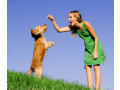 cachorro-amigo-adestramento-canino-pets-small-4