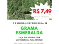 grama-esmeralda-a-750-o-metro-small-0