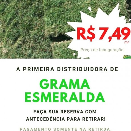 grama-esmeralda-a-750-o-metro-big-0