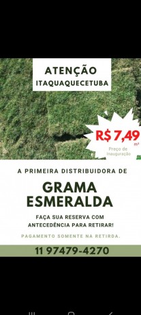 grama-esmeralda-a-750-o-metro-big-1