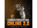 formula-enriquecendo-online-small-0