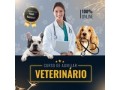 click-vet-curso-de-auxiliar-veterinaria-small-0