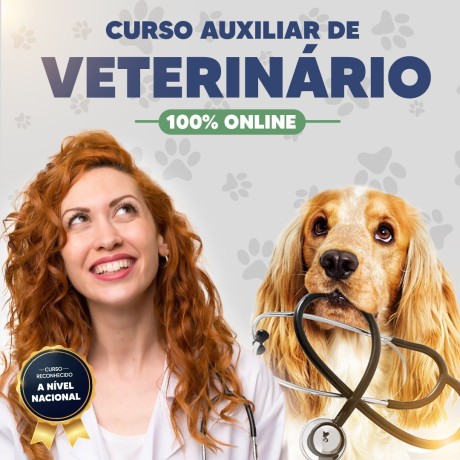 click-vet-curso-de-auxiliar-veterinaria-big-1