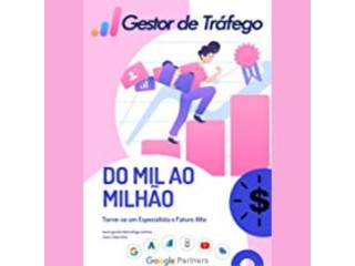 GESTOR DE TRÁFEGO (Marketing Digital na Prática Livro 1)