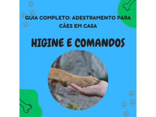 Guia de Adestramento de Cães em Casa - Comandos para manter a Higiene Residencial e Comandos Básicos