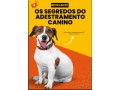o-segredos-do-adestramento-canino-small-0