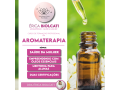 curso-de-formacao-em-aromaterapia-dra-erica-biolcati-small-0